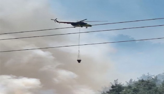 Manisa Soma'da orman yangını!